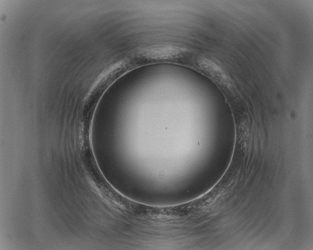 X0000064750400200602131232