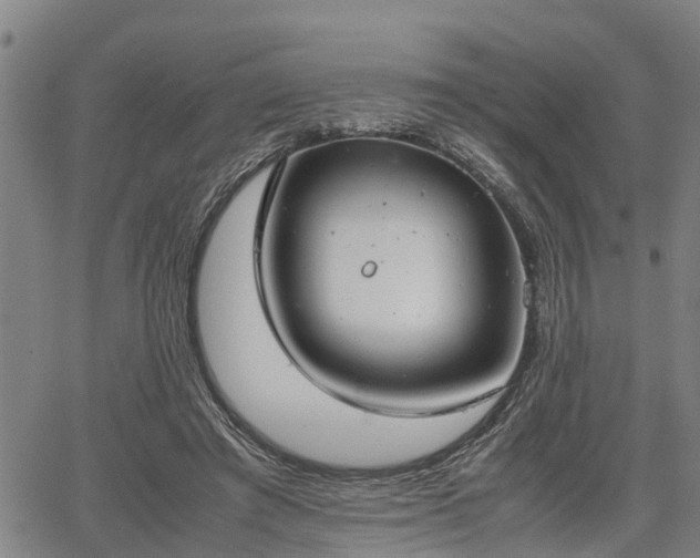 X0000064750401200602131232