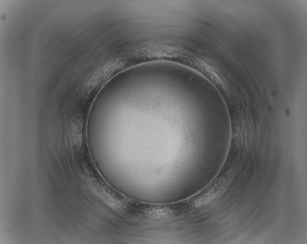 X0000064750402200602131231