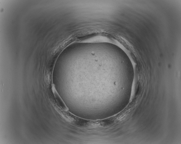 X0000064750405200602131231