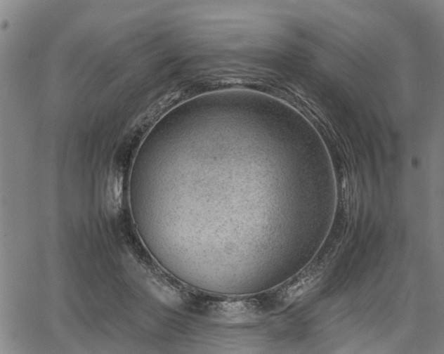 X0000064750406200602131231