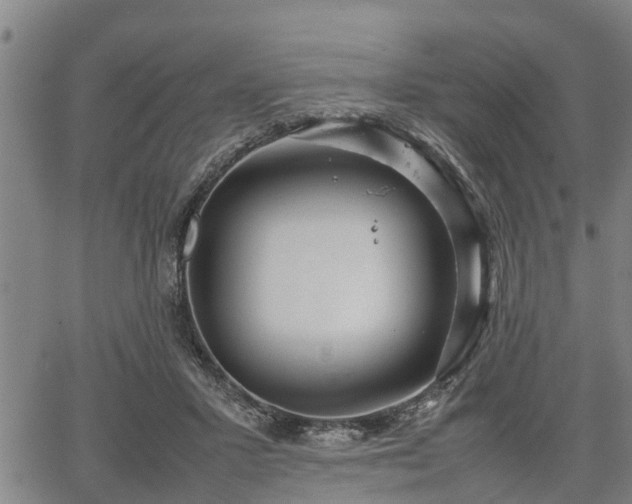 X0000064750407200602131231