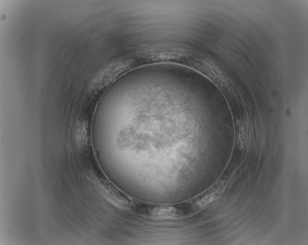 X0000064750410200602131231