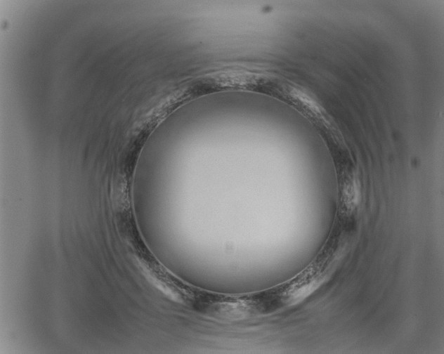 X0000064750411200602131231