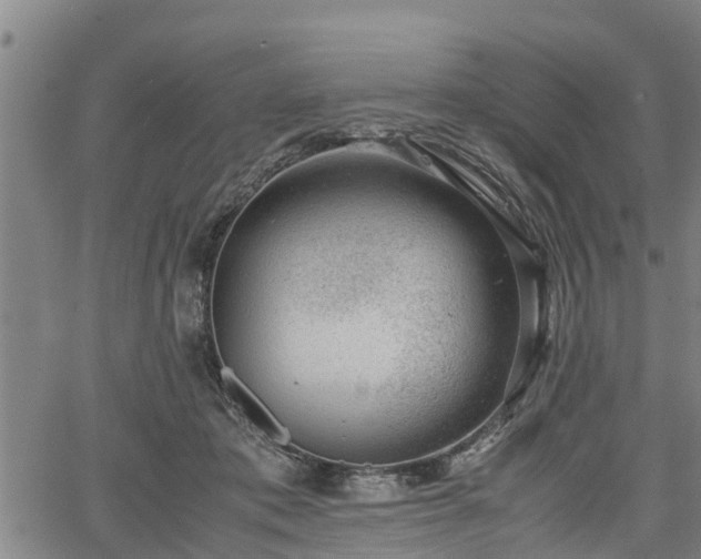 X0000064750413200602131231