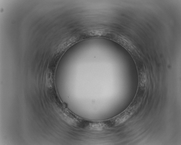 X0000064750414200602131231