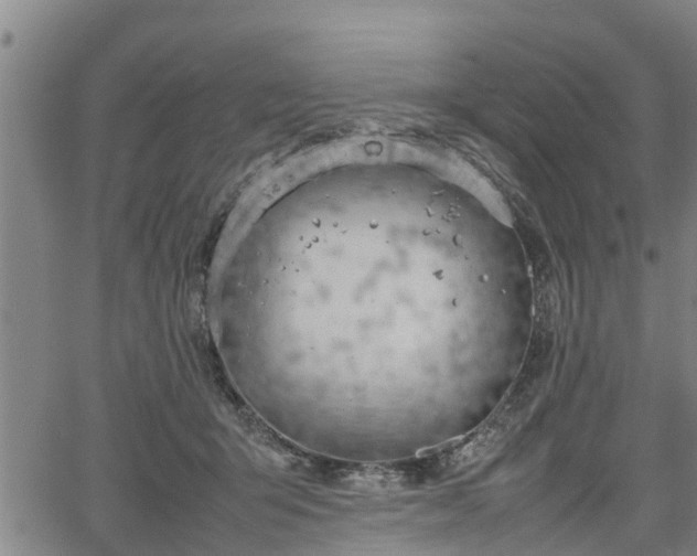 X0000064750415200602131231