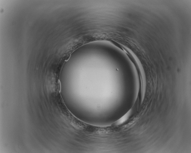 X0000064750416200602131231