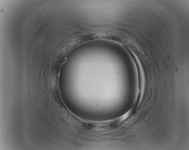 X0000064750417200602131231