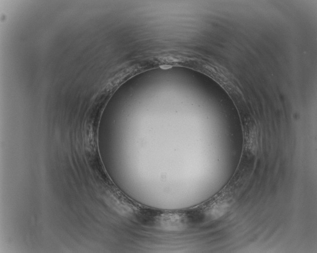 X0000064750418200602131231