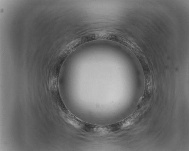 X0000064750419200602131231