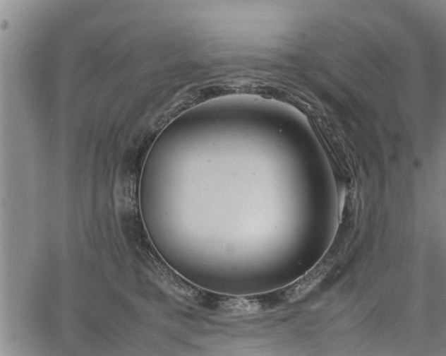 X0000064750421200602131231