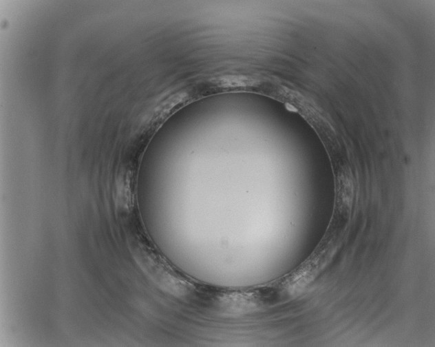 X0000064750422200602131231