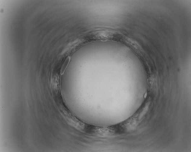 X0000064750423200602131231