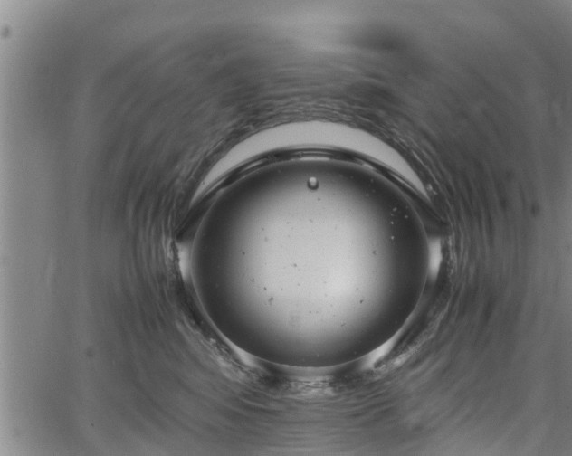 X0000064750424200602131231