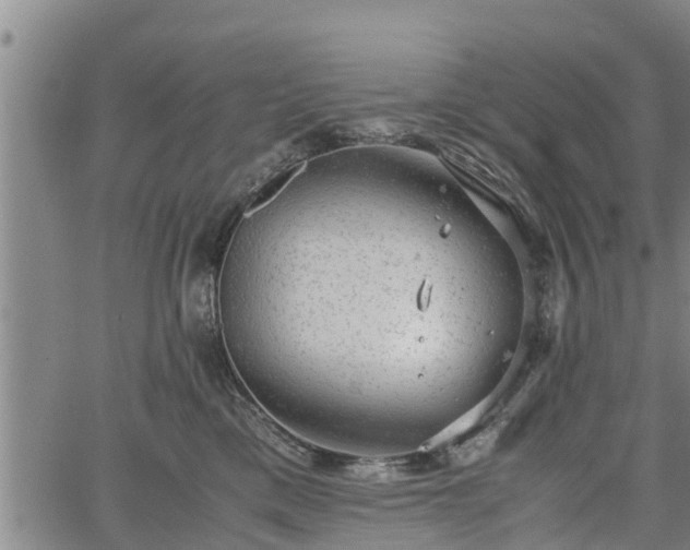 X0000064750425200602131231