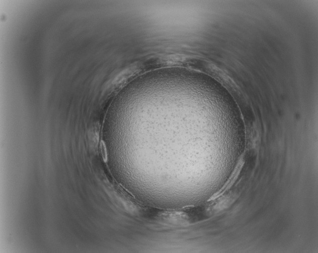 X0000064750427200602131231