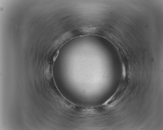 X0000064750428200602131231