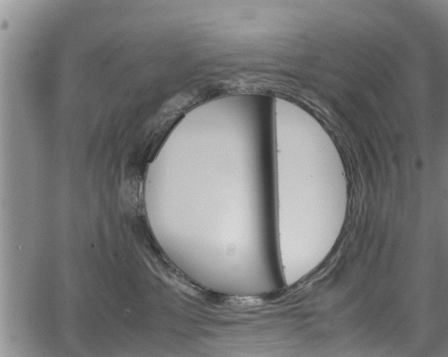 X0000064750429200602131231