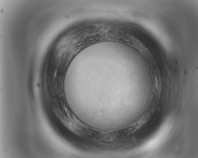 X0000064750431200602131231