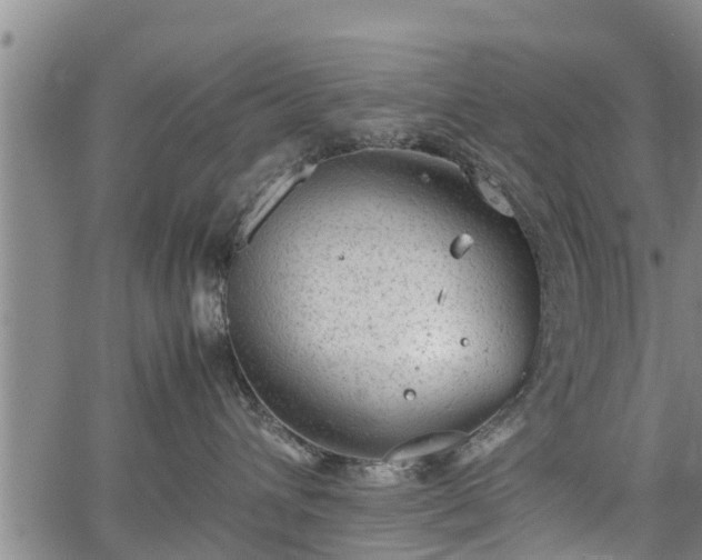 X0000064750432200602131231