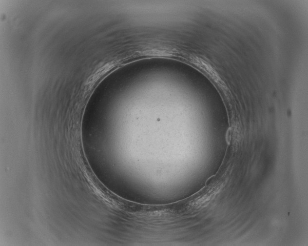 X0000064750433200602131230