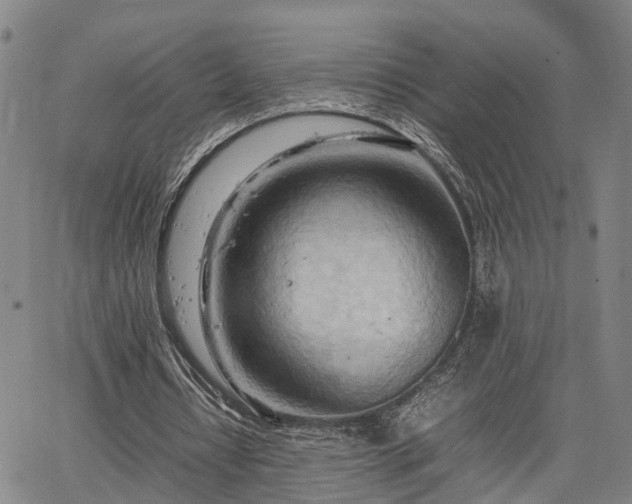 X0000064750434200602131230