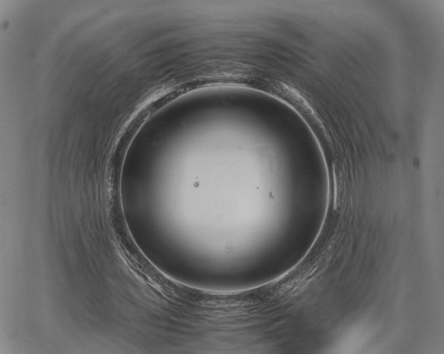 X0000064750435200602131230