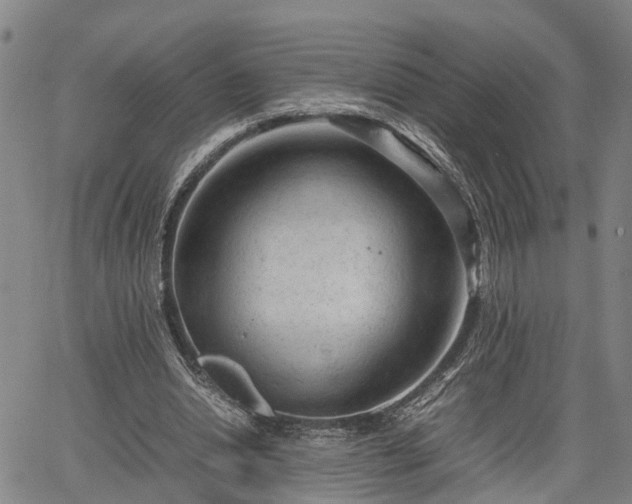 X0000064750438200602131230