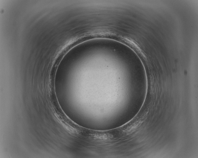 X0000064750439200602131230