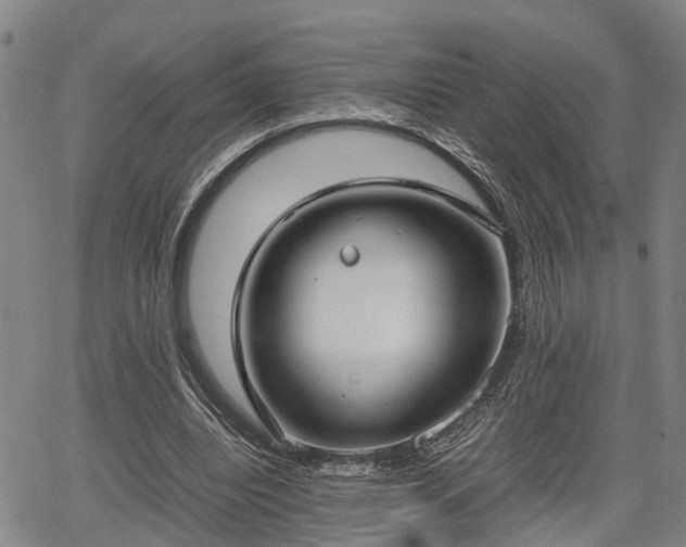 X0000064750440200602131230