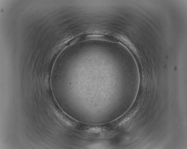 X0000064750441200602131230