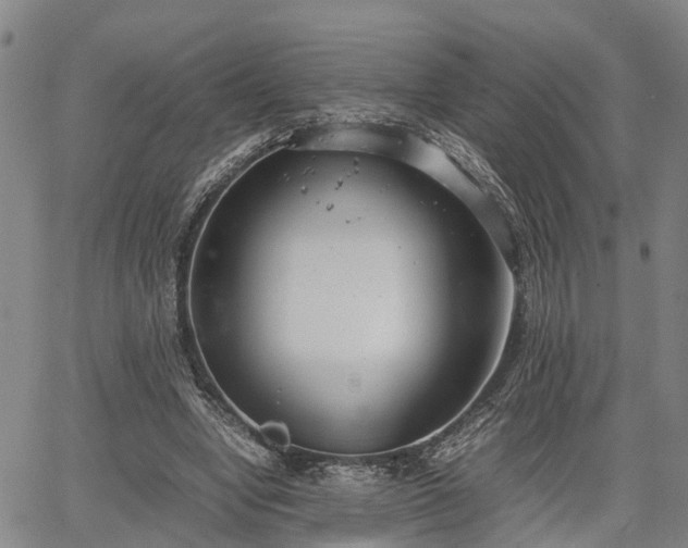 X0000064750442200602131230