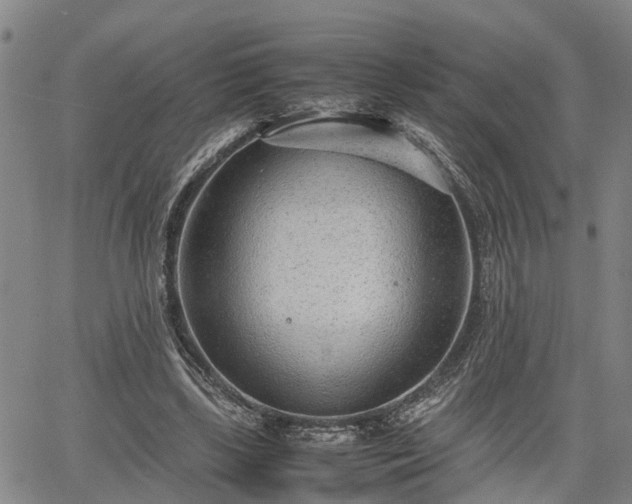 X0000064750443200602131230