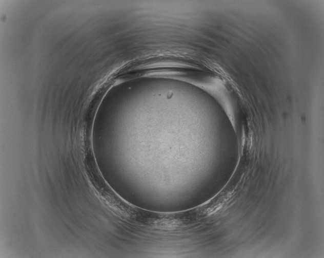 X0000064750444200602131230