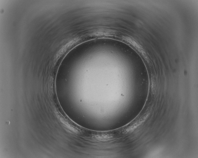 X0000064750445200602131230