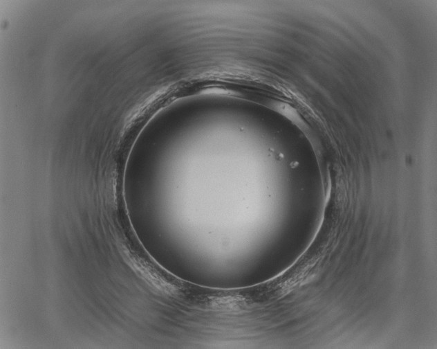 X0000064750446200602131230