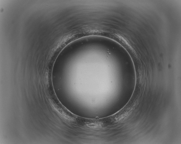 X0000064750447200602131230