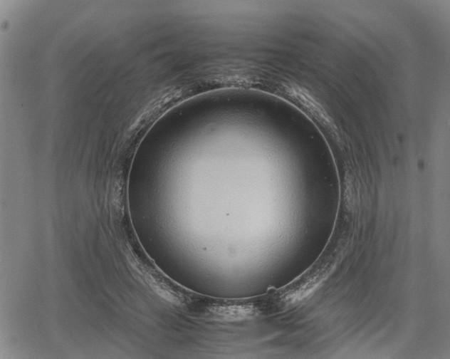 X0000064750449200602131230