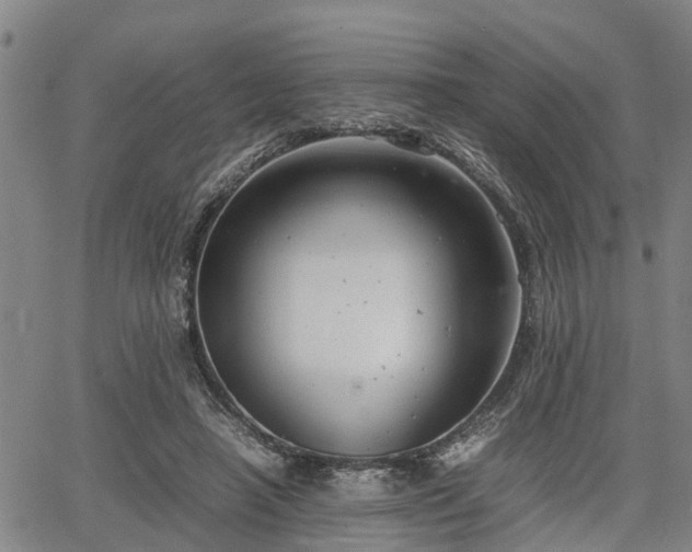 X0000064750450200602131231