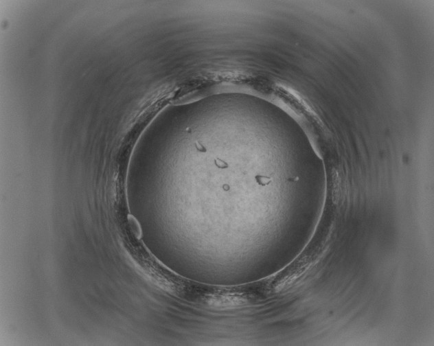 X0000064750451200602131231