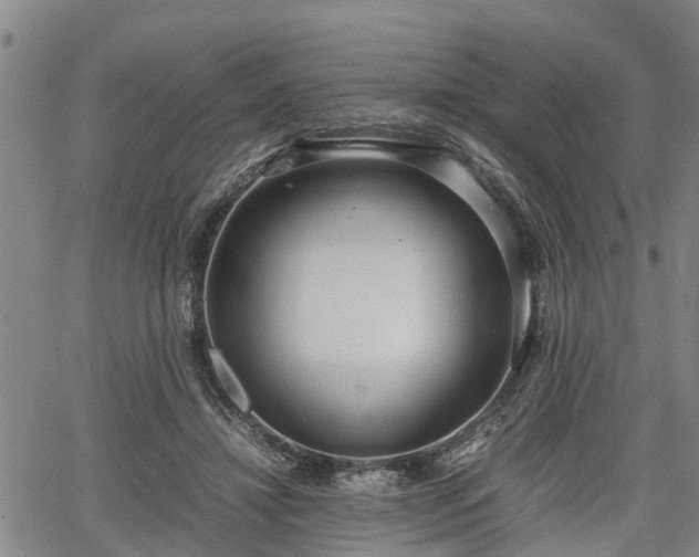 X0000064750452200602131231