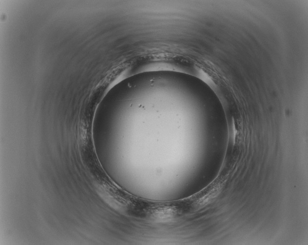 X0000064750456200602131231