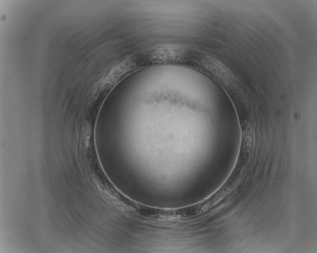 X0000064750458200602131231