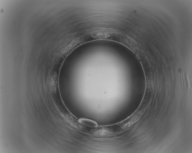 X0000064750460200602131231