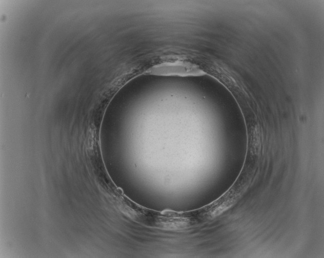 X0000064750463200602131231