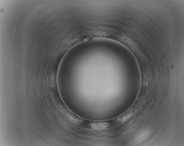 X0000064750465200602131231