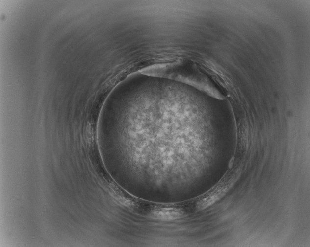 X0000064750467200602131231