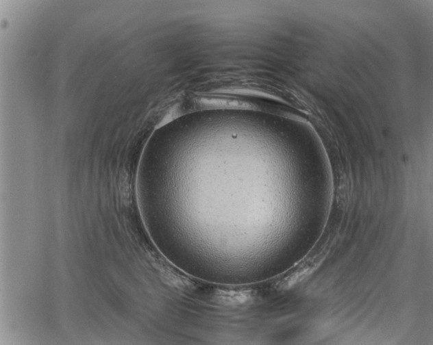 X0000064750469200602131231