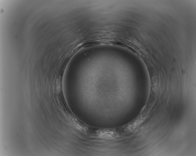 X0000064750471200602131231